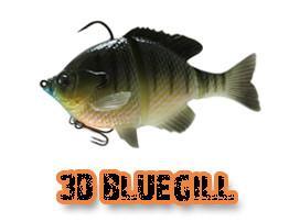 3d bluegil