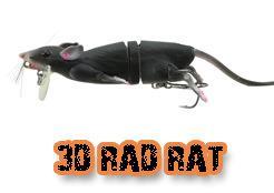 3d rat