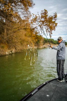 Alabama Rig Tips1