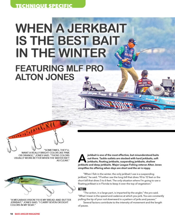 Winter Jerkbaits