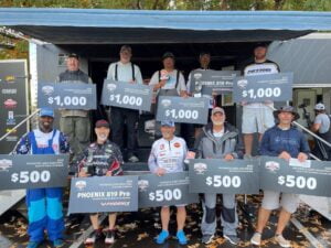 BFL Pickwick Checks 1