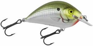 Bagley Pro Sunny B Olive Shad