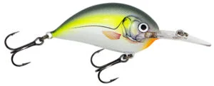 Bagley Sunny B Crankbait