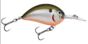 Bagley Sunny B Olive Shad