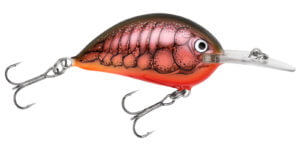 Bagley Sunny B RCW Red Crawdad