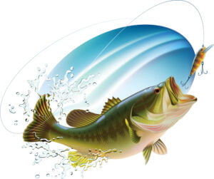 Bass Fishing Research Paper