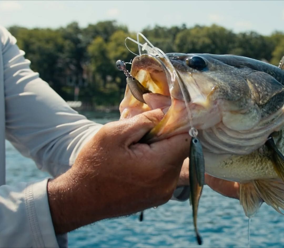Berkley Triple Minnow Rig Delivers Realistic Bait Ball Action for  Mid-Strolling | Bass Angler Magazine
