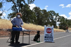 Bureau of Reclamation will begin using mussel sniffing dogs on weekends beginning this Friday to inspect boats to help protect New Melones Lake from invasive aquatic species