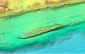 C-Map Shaded Relief