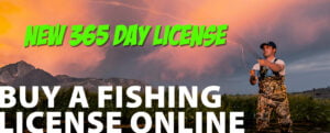 California Fishing 365 License