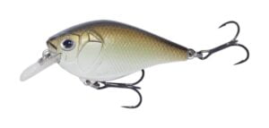 Castaic Squarebill Tenn Shad