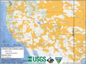 Common Carp map