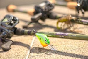 Crankbait and fishign rods