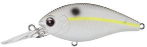 Ever Green CR Series CHART SHAD