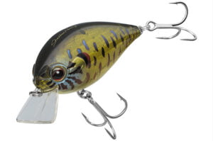 Ever Green SH 3 SKELETON PUMPKINSEED 2