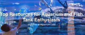 Fish aquariums