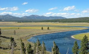 Fishing the Yellowstone