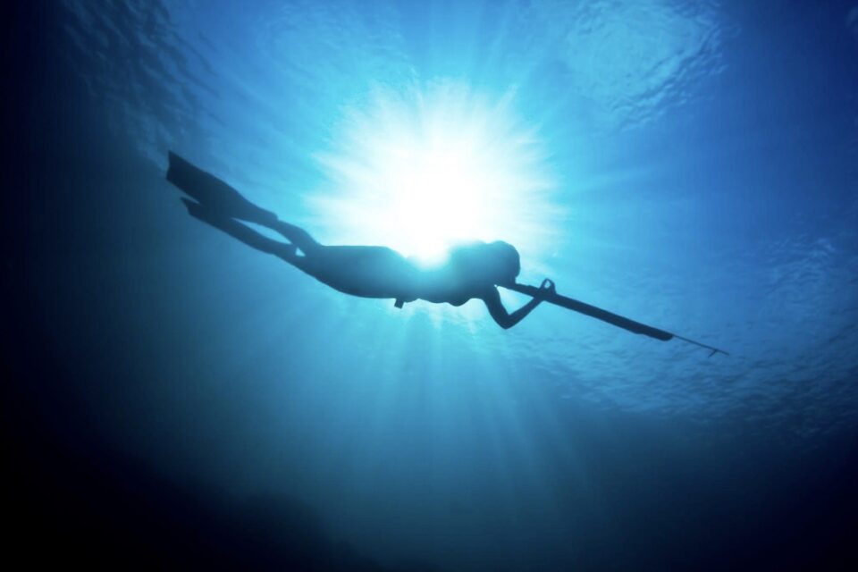 How to Use a Speargun for Fishing A Quick Guide and Why You Can’t Use