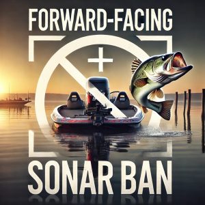 FFS Forward Facing Sonar