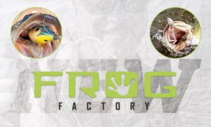 Frog Factory - GSM