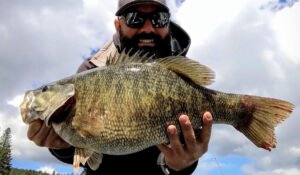 Guide Travis Wendts 235 Idaho state record CR smallmouth ate a Z-Man Finesse TRD