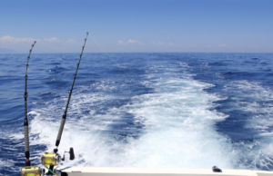 The Ultimate Guide To Trolling Fishing