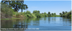 2021 Aquatic Plant Controls Start on the Cal Delta