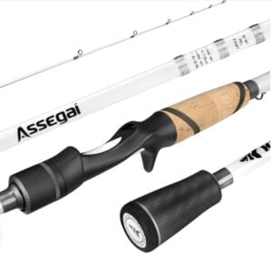 KastKing Assegai Rod