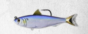 Livetarget blueback herring swimbait