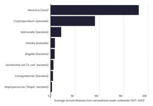 Norovirus accounts for the majority of recreational waterborne illness occurrences in the US