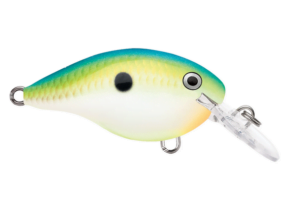 Rapala DT 4 Citrus Shad