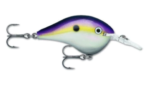 Rapala DT Series Big Shad 1