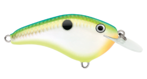 Rapala Otts Garage slim crankbait citrus shad