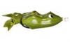 Snag Proof Chris Lane Guntersville Frog