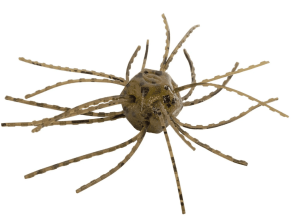 Strike King Tumbleweed Salted | Bass Angler Magazine Strike King Tumbleweed Salted Dice Bait