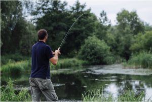 Year-Round Success with Seasonal Bass Knowledge