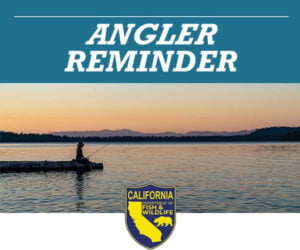 California anglers can now purchase a sport fishing license valid from the date of purchase for 365 continuous days.