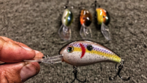 crankbait2 450x254 1