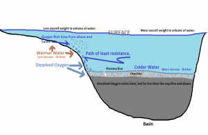 dissolved oxygen 300x196 1