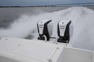 dual evinrude 300s