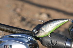 duo realis apex vibration