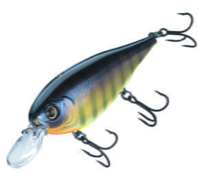 evergreen xv5 shad crankbait 34 view 424