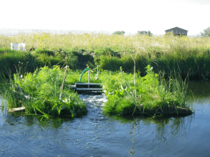 floating island