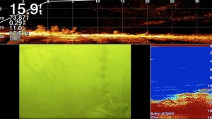 garmin livescope vs aqua vu