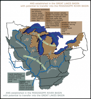 great lakes basin invasive species 1