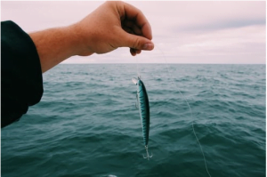 jerkbaits can work well for winter bass