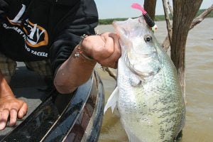 muddy water crappie jig