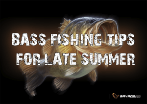 savage gear summer bass tips