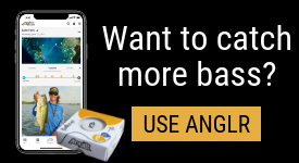 small anglr ad