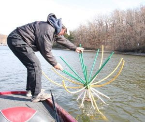 spider spread for crappie